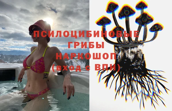 ECSTASY Армянск