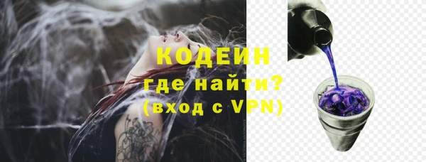 спиды Арсеньев