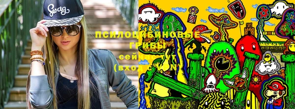 спиды Арсеньев