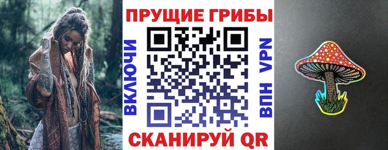 Псилоцибиновые грибы MAGIC MUSHROOMS  Купить где  Куса 